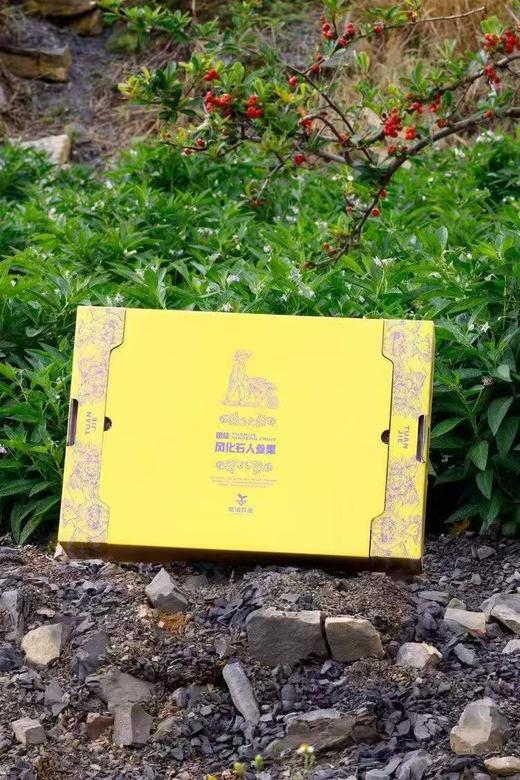 【会员15.5/盒】砾元云南树熟风化石人参果 商品图12