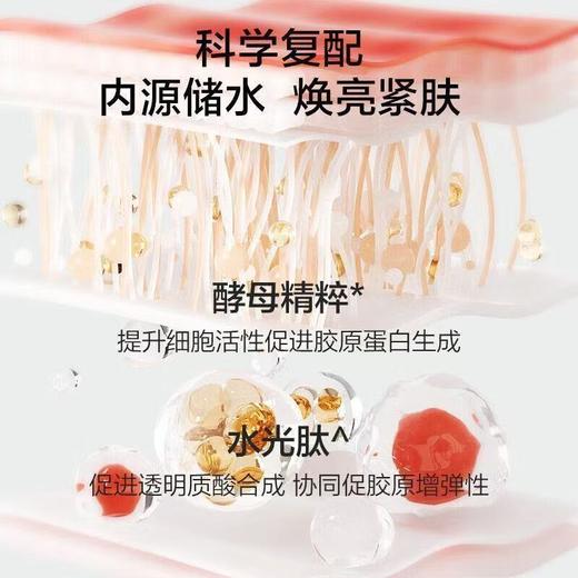 韩束酵母锁水补水面霜50g 抗初老 焕亮紧肤 柔润保湿 无水配方-4623 商品图6