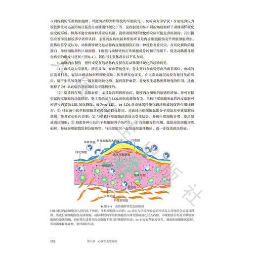 病理学 第5五版 十四五规划新形态教材全国高等学校教材 韩安家 张忠 主编 供临床影像专业高等学历继续教育等使用 人民卫生出版社 商品图4