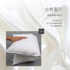 HZ羽绒枕芯 酒店款 1100g 80*50cm 商品缩略图1