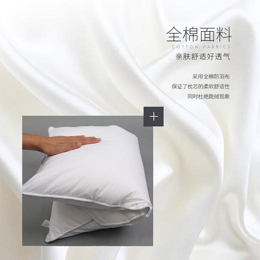 HZ羽绒枕芯 酒店款 1100g 80*50cm 商品图1