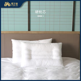 DC 硬枕芯 75*50CM/1205G