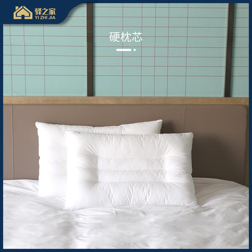 DC 硬枕芯 75*50CM/1205G 商品图0