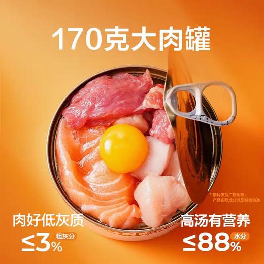 网易严选 犬用缤纷肉肉罐 170g/罐 商品图2