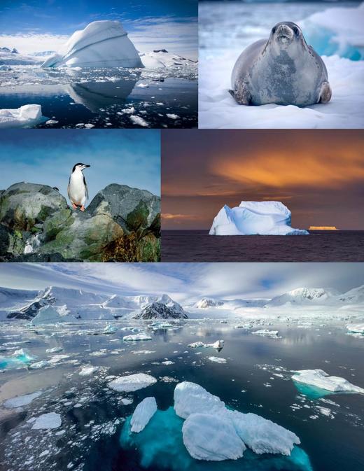 海神号南极半岛12天圣诞威德尔海之旅｜2025.12.18-12.29 商品图6
