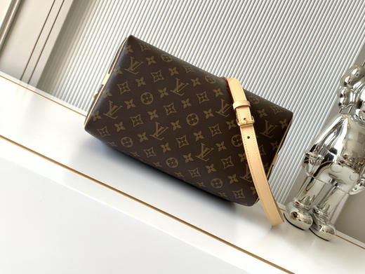 秋冬特惠💰1270 渠道级LV【全钢金色五金 MB163c01变码芯片】te级LV 全套包装 M46980老花 Speedy 系列手袋 商品图3