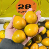 【推荐】第三代融安金桔28°C  脆蜜金柑 一箱3斤 礼盒装大果  纯甜不涩口 商品缩略图3