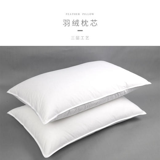 HZ羽绒枕芯 酒店款 1100g 80*50cm 商品图0