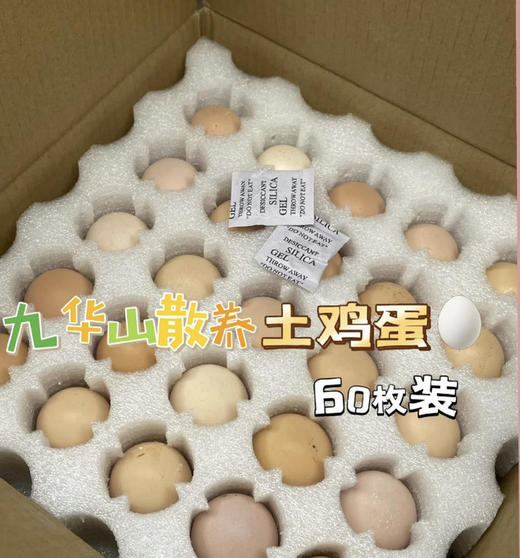 【农场补贴】九华山高山散养富硒土鸡蛋（现捡现发） 商品图3