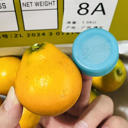【推荐】第三代融安金桔28°C  脆蜜金柑 一箱3斤 礼盒装大果  纯甜不涩口 商品图6