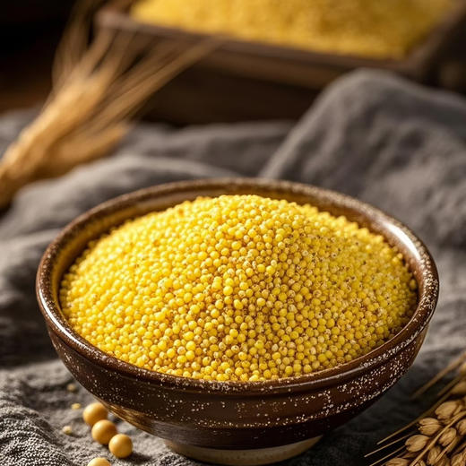 石家庄优选仓库速达，苏瑆农场有机小米，色泽黄润均匀，米粒饱满圆润，保留原始小米的原色原香，净重2.52kg礼盒装（420g*6） 商品图4