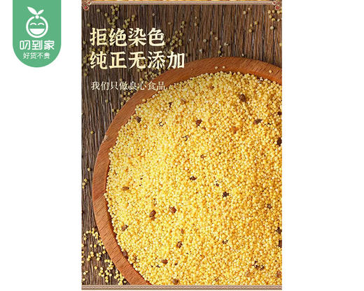 岁盟堂苦荞小米/1包（1.5kg）生产日期：25年11月 商品图4