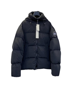 中性款logo连帽羽绒服he