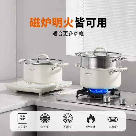 九阳0涂层316L陶钢汤锅家用煮粥锅加厚蒸炖锅双耳煮面锅燃磁通用 商品图5