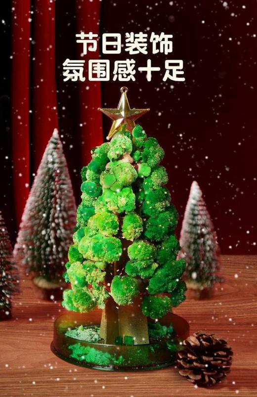 神奇魔法会开花的圣诞树 商品图5