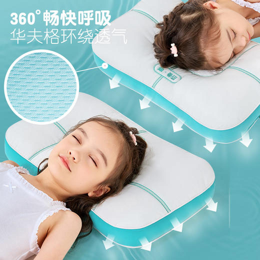 【赠同尺寸枕套】匹鲁亲子款分区五维防护枕儿童成人枕芯 防水 /防污/防发黄 /7A物理抗菌/物理阻螨【护颈深睡枕头专场】 商品图6