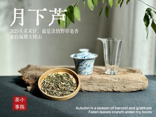 【好茶来了】2025头采米针《月下芦》，毫香浓郁，汤水稠润，浓浓芦荻毫香，诗经里的野草们有了现实的具象~~ 商品图0
