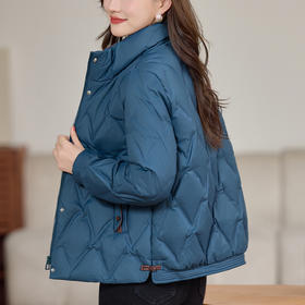 丁摩 气质立领羽绒服女冬季新款高级感盘扣宽松短款白鸭绒外套5ZF-9983