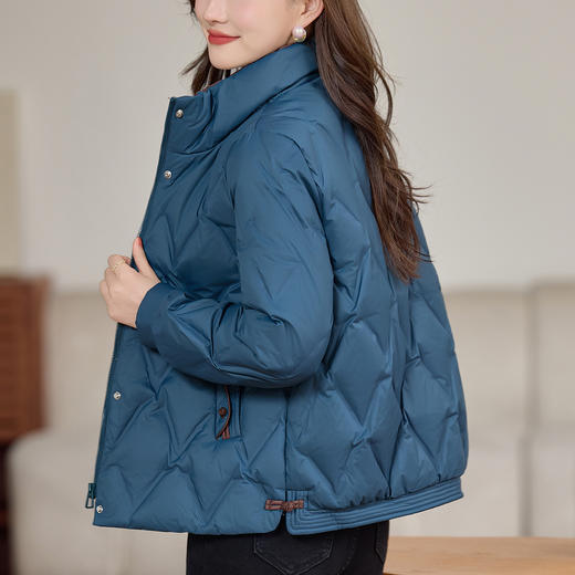 丁摩 气质立领羽绒服女冬季新款高级感盘扣宽松短款白鸭绒外套5ZF-9983 商品图0