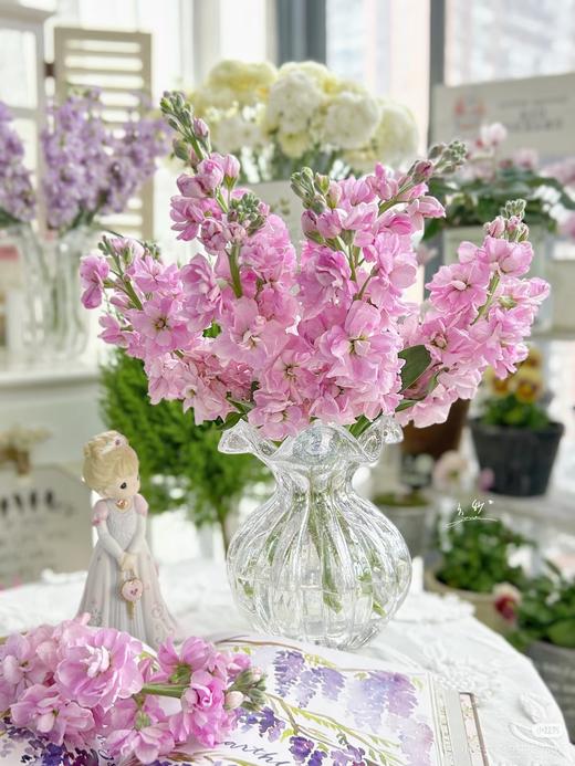 紫罗兰 粉色， 商品图1