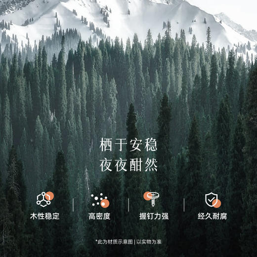 AF8808真皮床架 商品图3