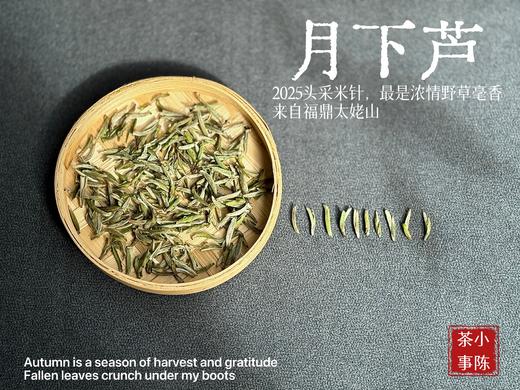 【好茶来了】2025头采米针《月下芦》，毫香浓郁，汤水稠润，浓浓芦荻毫香，诗经里的野草们有了现实的具象~~ 商品图2
