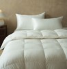 舒雅生活绒耀羽绒春秋被面料,55%棉,45%聚酯纤维,填充,100%白鸭绒（绒子含量90%）（M700g/L800g)12040277/12040278 商品缩略图2
