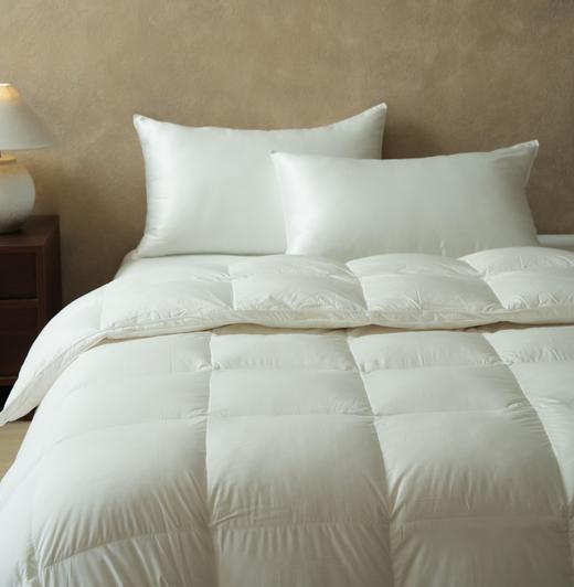 舒雅生活绒耀羽绒春秋被面料,55%棉,45%聚酯纤维,填充,100%白鸭绒（绒子含量90%）（M700g/L800g)12040277/12040278 商品图2