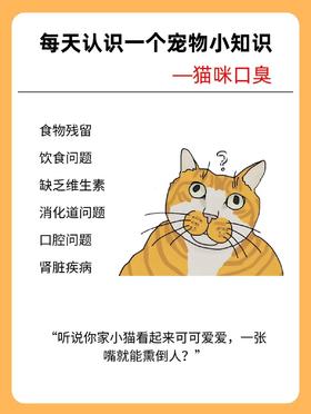 养猫必看！猫咪口臭不是小问题，这些原因 + 解决办法快收好！