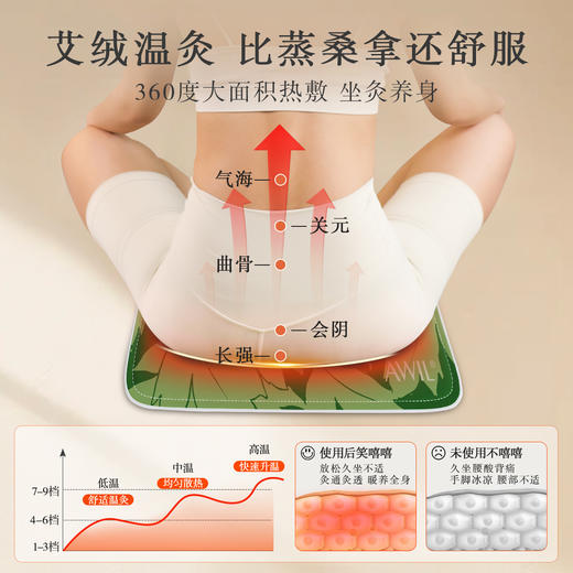 【艾修堂热敷坐垫 】三年陈艾绒+红花+玫瑰 改善因久坐导致的血液循环不畅 办公室保暖刚需 商品图1