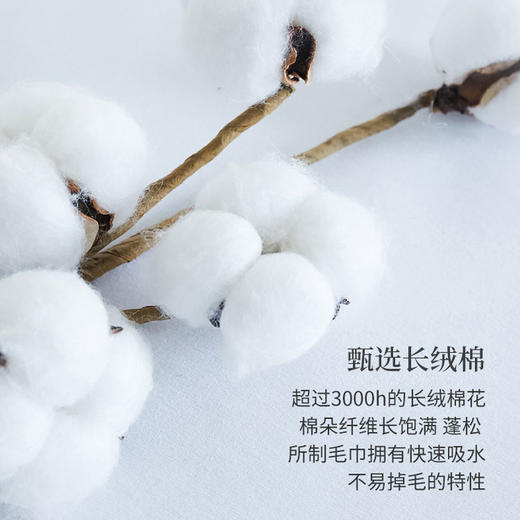 HZ浴巾 160*80cm 830g  【2条起订 单条不发货】 商品图3