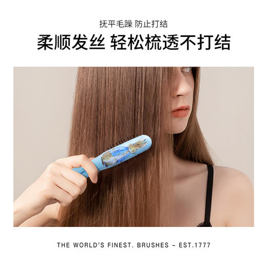 会员专享 |【云优选】英国kent&彼得兔联名便携女气垫顺发梳 商品图6