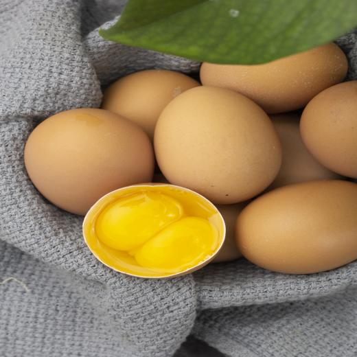 [最农公社]年货节|山东优选双黄蛋鸡蛋10枚/20枚谷物喂养 吃一个双倍营养 商品图4