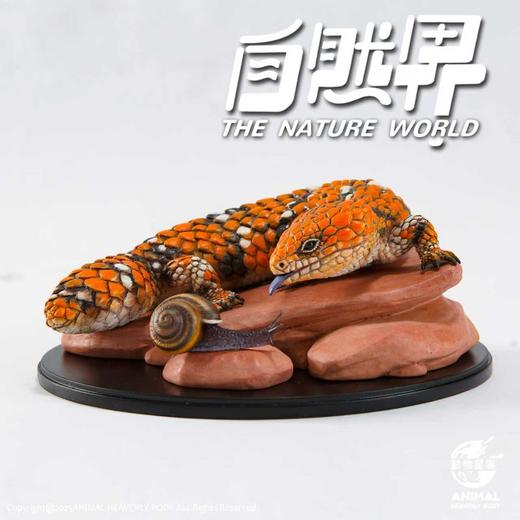 【预售】西部松果蜥 树脂模型摆件 自然界系列 手办潮玩 动物星云官方正版【★ 2026年2月初发货】 商品图0