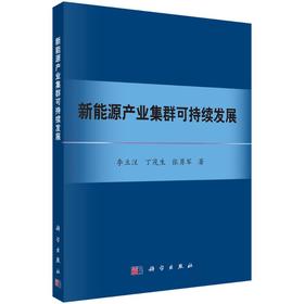 新能源产业集群可持续发展
