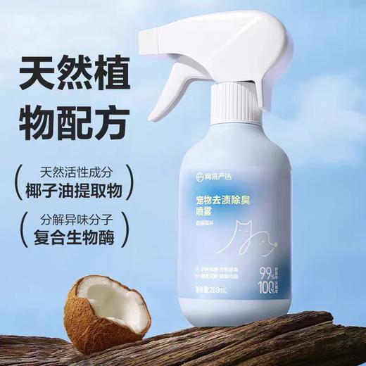 网易严选 宠物猫狗去渍除臭喷雾 280毫升（青藤雨林） 商品图0