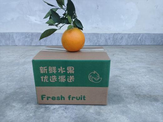 【自营】湖北秭归九月红脐橙新鲜应当季果冻橙水果甜橙子整箱10斤 商品图3