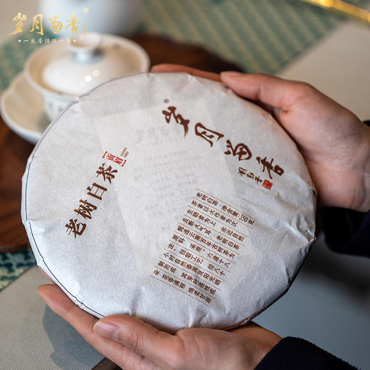 岁月留香·2022冰岛老树白茶贡眉 单饼 350g 商品图2