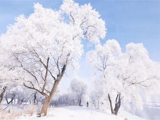 元旦3日【查干湖冬捕】｜传承千年渔猎文化の查干湖冬捕-知北村-雾凇岛-净月潭-冰雪新天地 商品图3