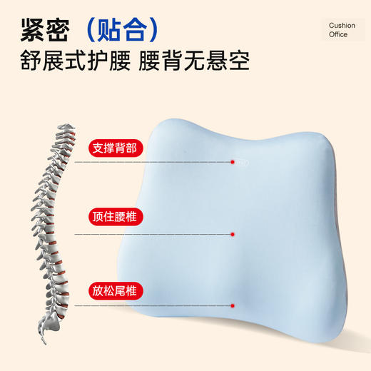 记忆棉护脊腰靠 商品图2