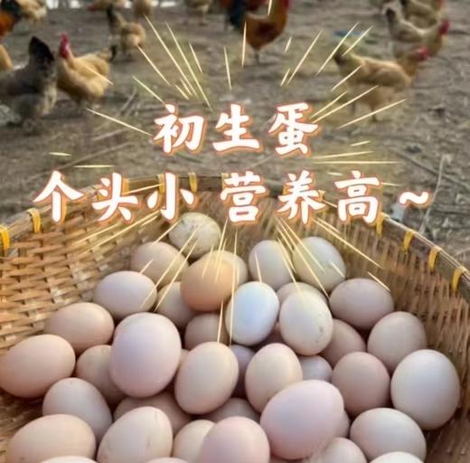 檬爸亲选 宝宝放心鸡蛋 山地散养土鸡蛋 商品图2