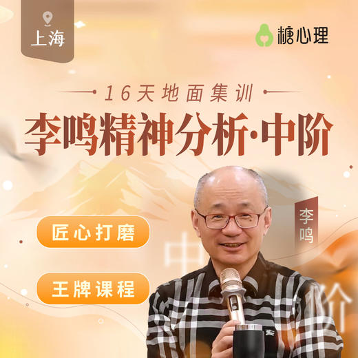 【16天地面集训】李鸣精神分析·中阶 商品图0