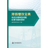 降损增效宝典：线损治理典型问题处置与案例剖析 商品缩略图3