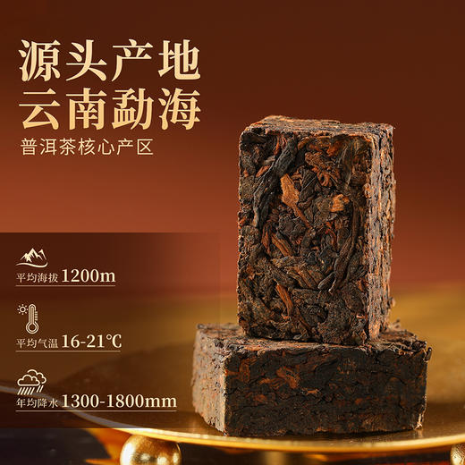 【微信会员福利】奢养茶礼二选一 商品图1