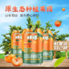 好巧四会特产沙糖桔生榨果汁型汽水330ml*24罐 商品缩略图0
