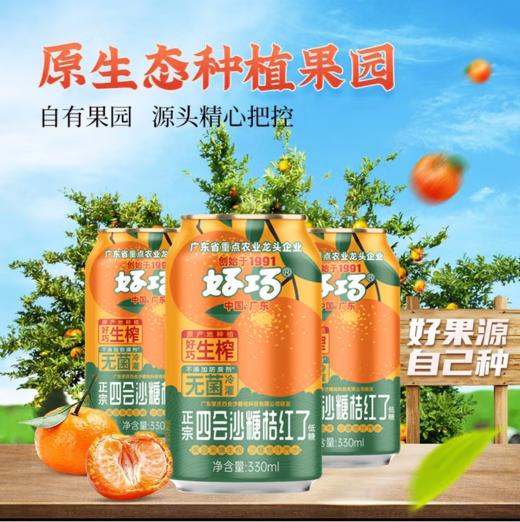 好巧四会特产沙糖桔生榨果汁型汽水330ml*24罐 商品图0