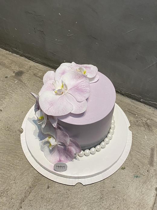 雾紫碟兰 商品图1