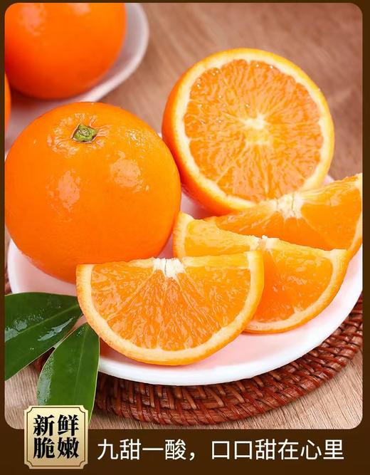 四川凉山雷波脐橙新鲜现货现摘现发当季整箱10斤孕妇水果橙子 商品图8
