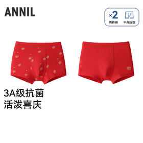 男童平角裤两件装春季新款安奈儿童装JB617068