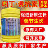 龙蟒福生引吲诱吲哚丁酸S诱抗素促进新根生长农药调节剂正品 商品缩略图4